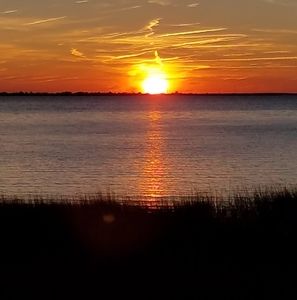 Meet your Posher, Teddi-lea